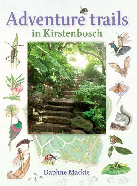 Adventure Trails In Kirstenbosch