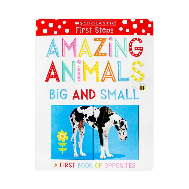 Amazing Animals Big And Small
