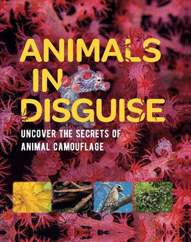 Animals In Disguise