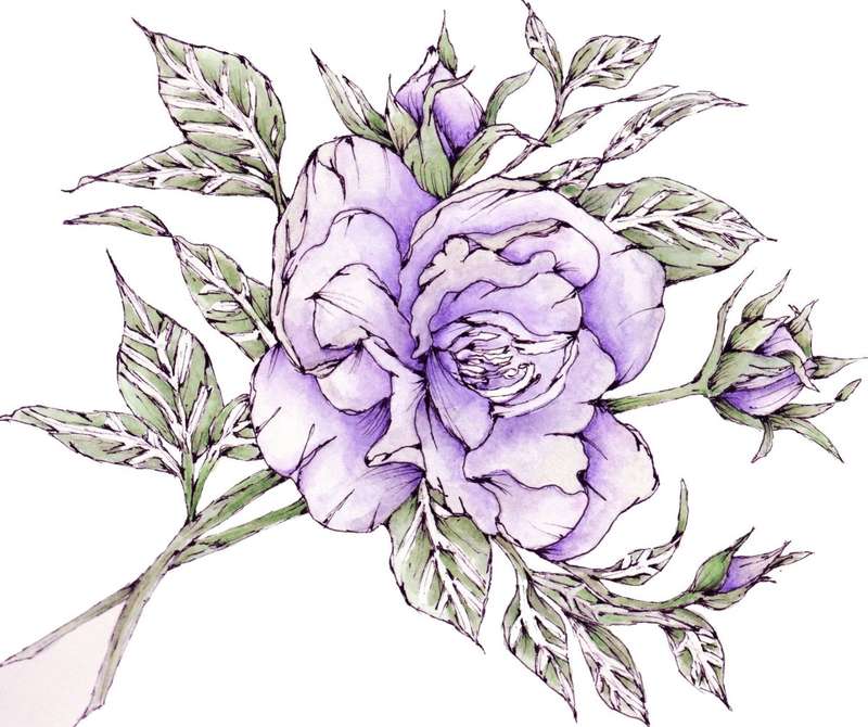 Bella Rose Postcard Pack