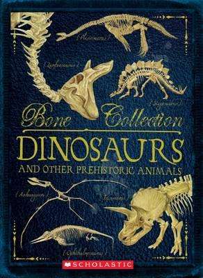Bone Collection: DINOSAURS