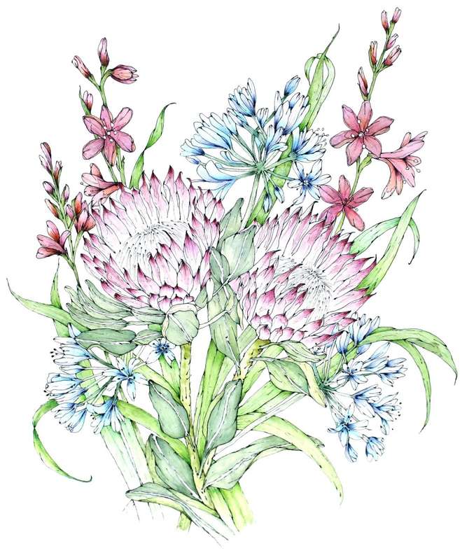 Fynbos Garden Card & Envelope Maxi Pack