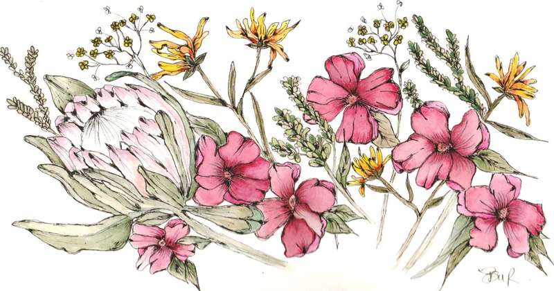 Protea Fields Card & Envelope Maxi Pack