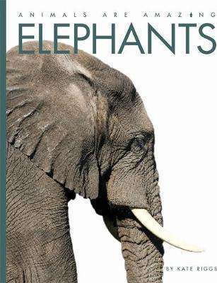Elephants