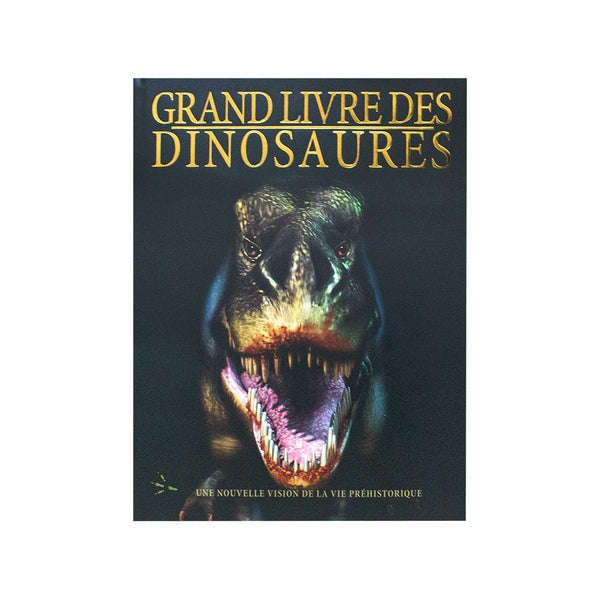 Grand Livre Des Dinosaures (French)