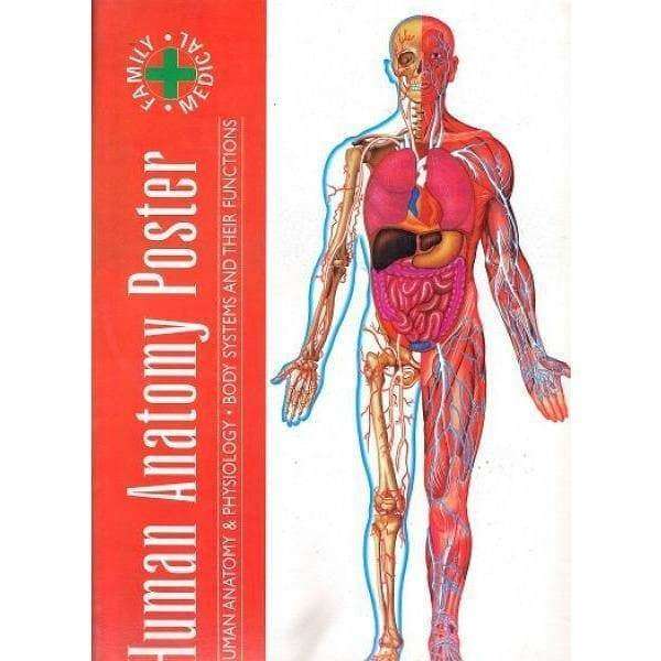 Human Anatomy Poster
