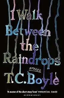 I Walk Between the Raindrops