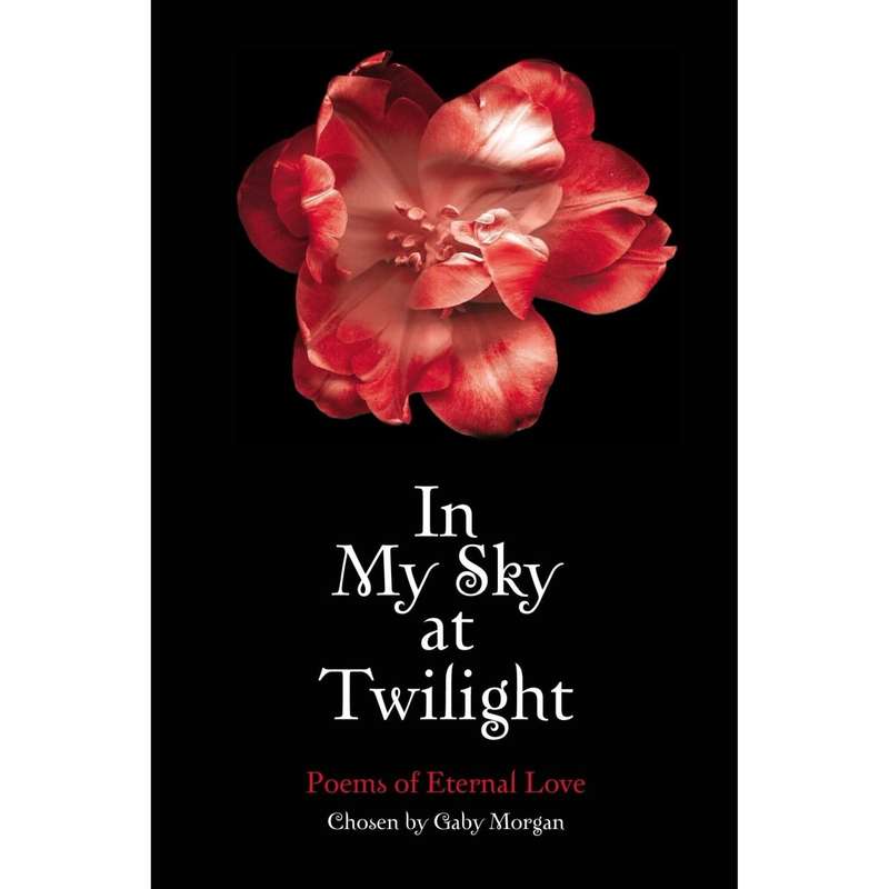 In My Sky at Twilight