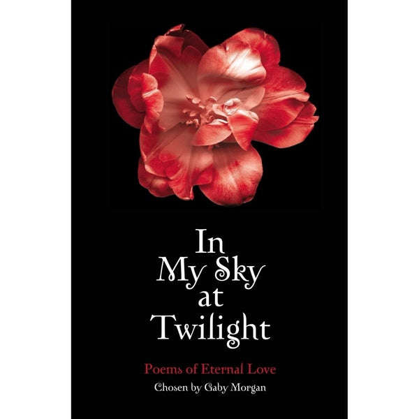 In My Sky at Twilight