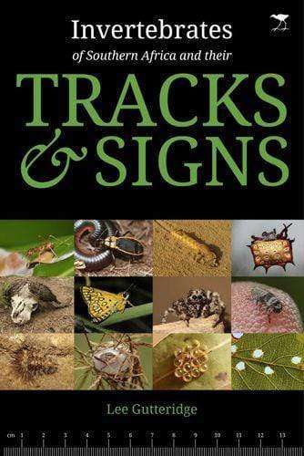 Invertebrates Of Southern Africa And Their Tracks And Signs