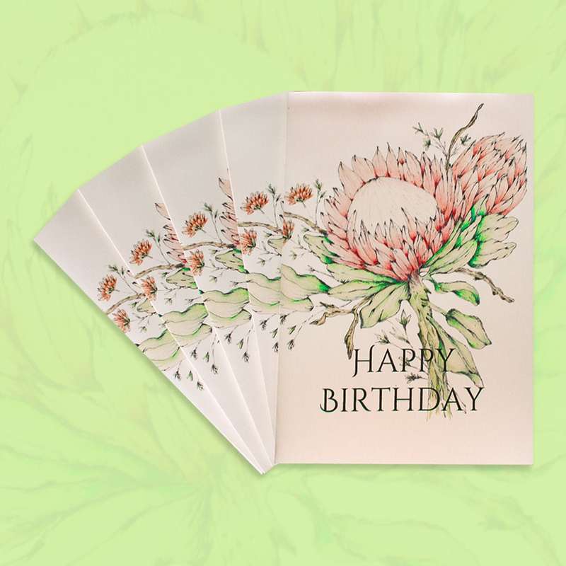 King Protea Greeting Card Pack