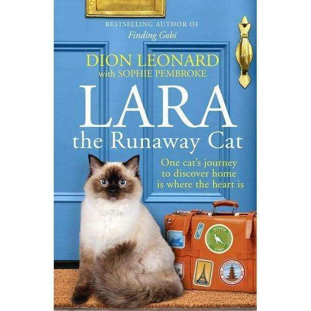 Lara The Runaway Cat