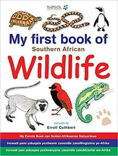 My First Book Of Southern African Wildlife