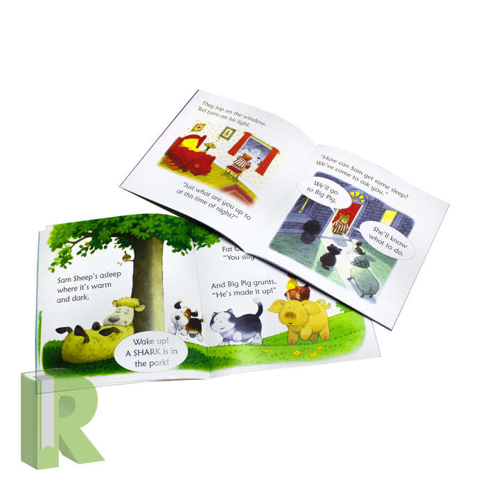 Usborne Phonics Readers 12 Book Box Set