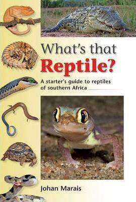 What's that reptile?