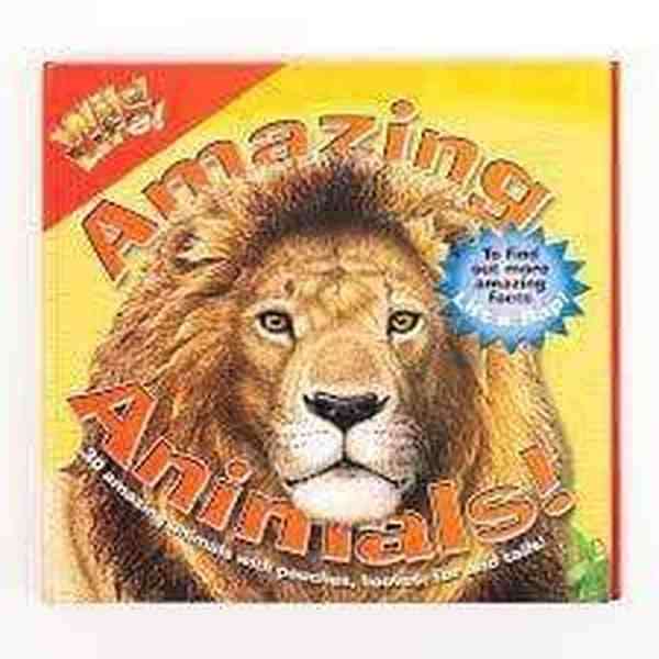Wild Life Amazing Animals