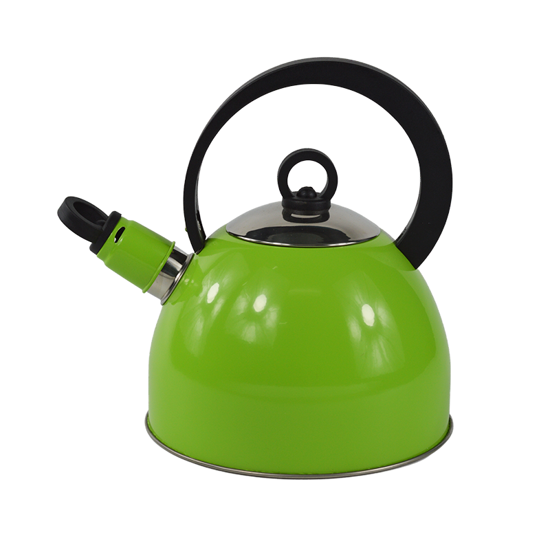 Stainless Steel Whistling Kettle Tea Kettle 2L - 2LT / Green