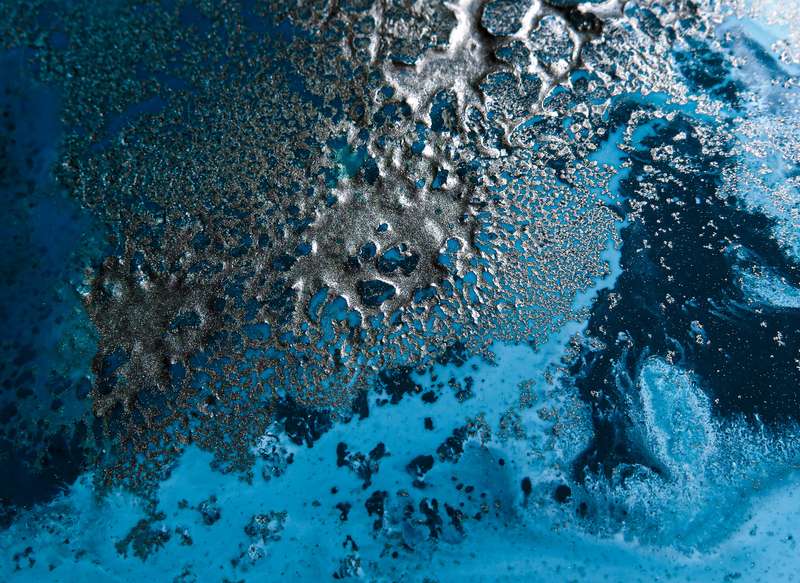 Awakening by Petra Meikle de Vlas  - Photography poster