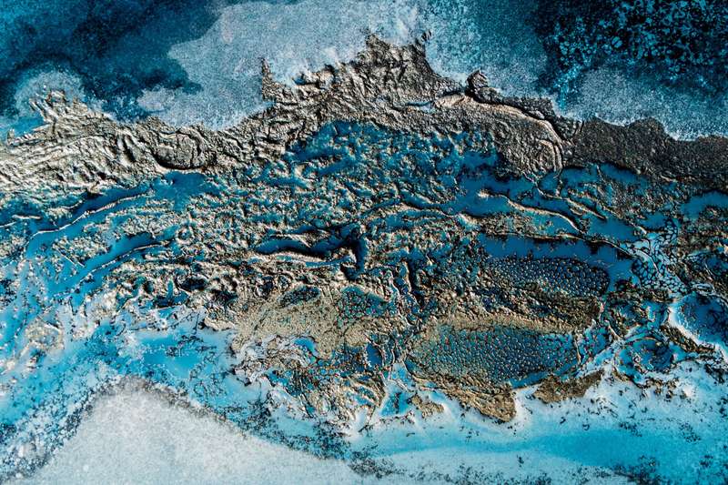 Ocean Life by Petra Meikle de Vlas  - Photography poster