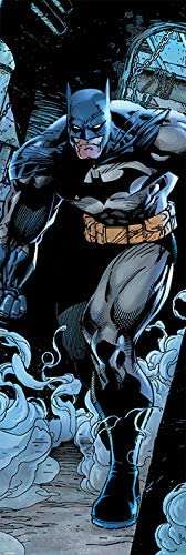 Batman Prowl Door Poster