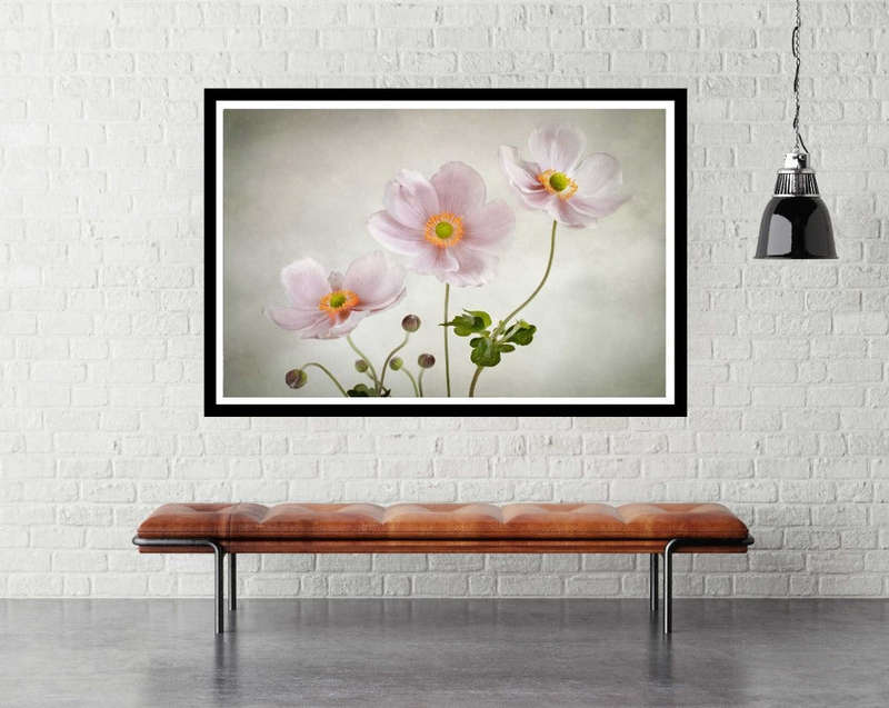Anemones  by Mandy Disher - flower Photography poster