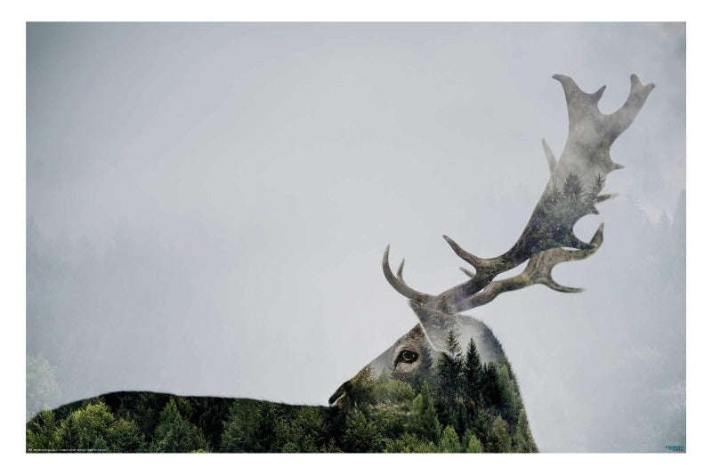 Antler Double Exposed Photography Poster