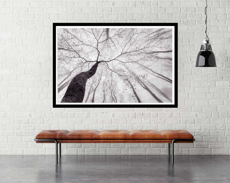 A view of the tree crown by Tom Pavlasek - Nature Photography Poster