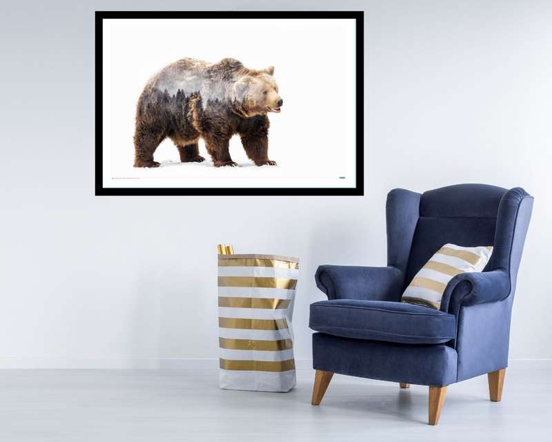 Bear Double Exposed Photography Poster