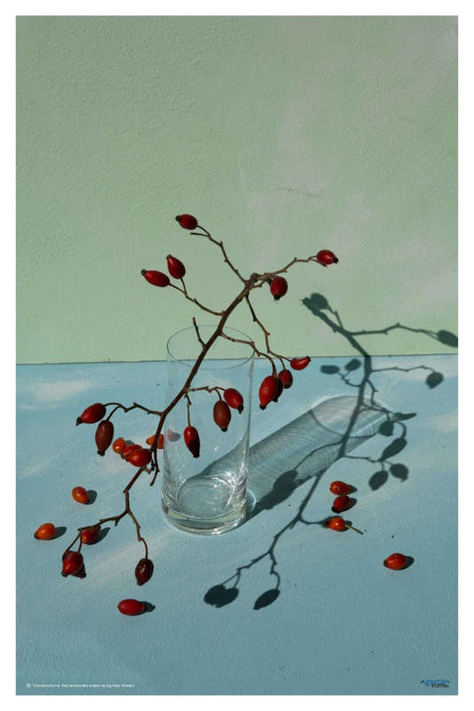 Berries by Donatello Basso - Photography Poster