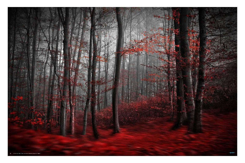 Bloody river by Samantha Krivec - Landscape Photography Poster
