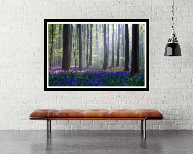 Bluebells by Adrian Popan - Flower Photography Poster