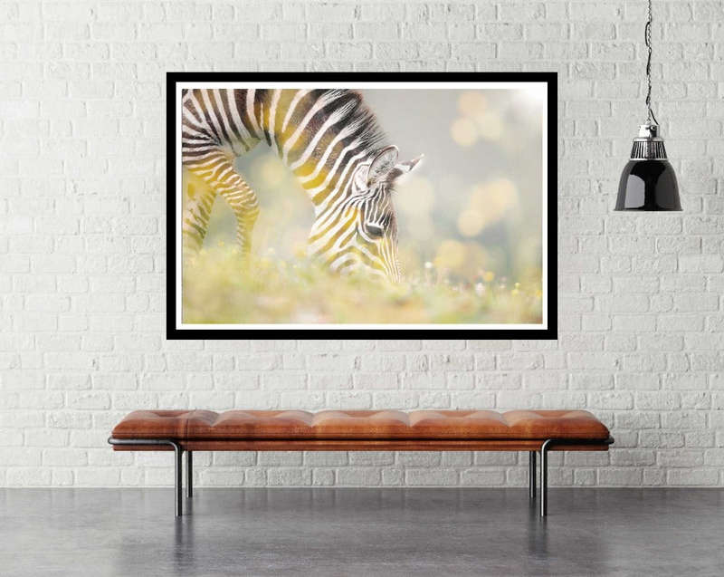 Breakfast by Jesus Concepcion Alvarado - Wildlife Photography Poster.