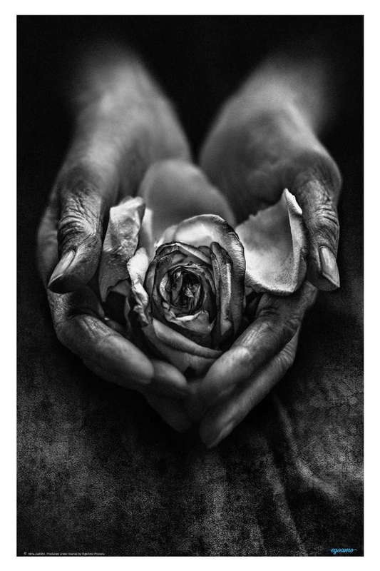 Caring Hands by nima.zadshir - Photography Poster