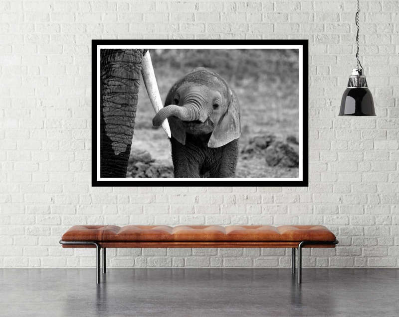 Close by Bjoern Alicke - Wildlife Photography poster