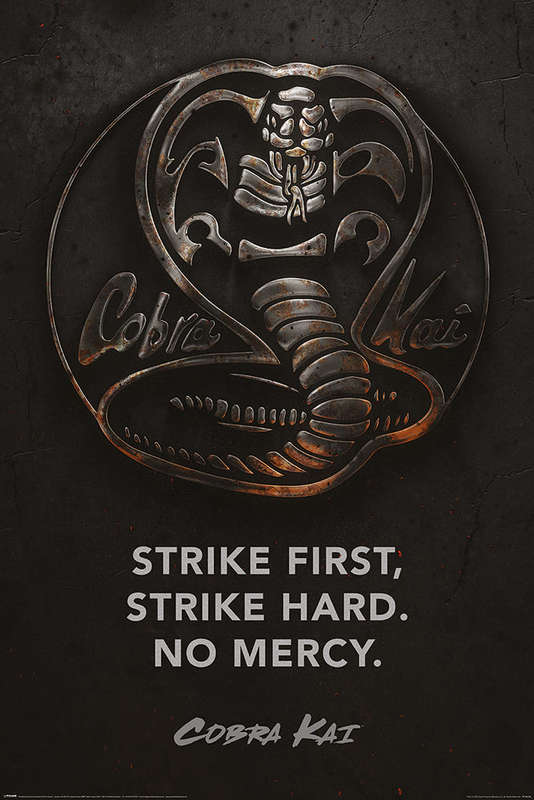 Cobra Kai: Metal TV Series Poster