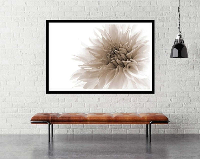 Dignified by Priska Wettstein - Flower Photography Poster