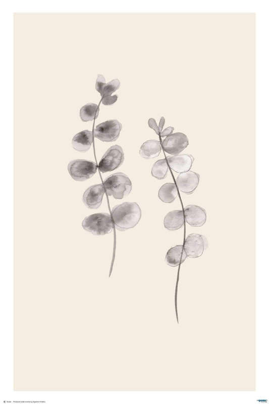 Eucalyptus Twigs (two)- line art poster - Art Poster