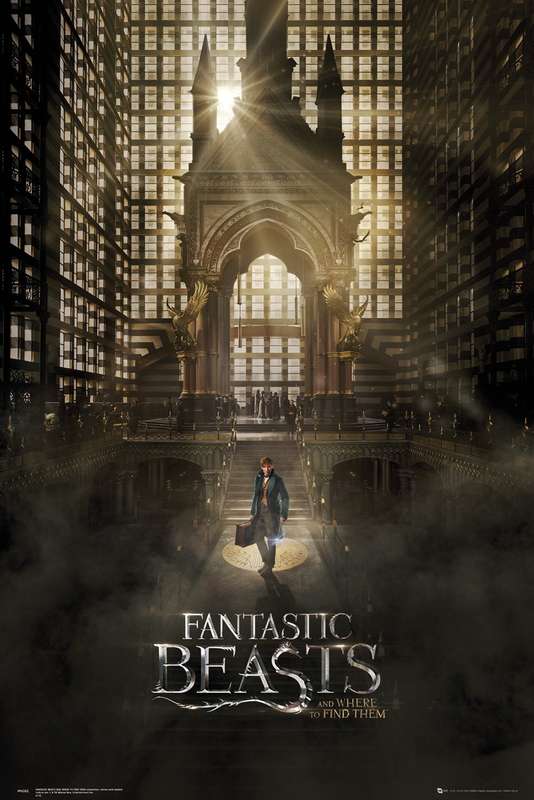 Fantastic Beasts And Where To Find Them Poster