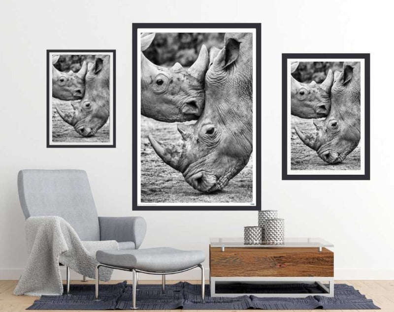 Face to Face by Jesus Concepcion Alvarado - Wildlife Photography Poster