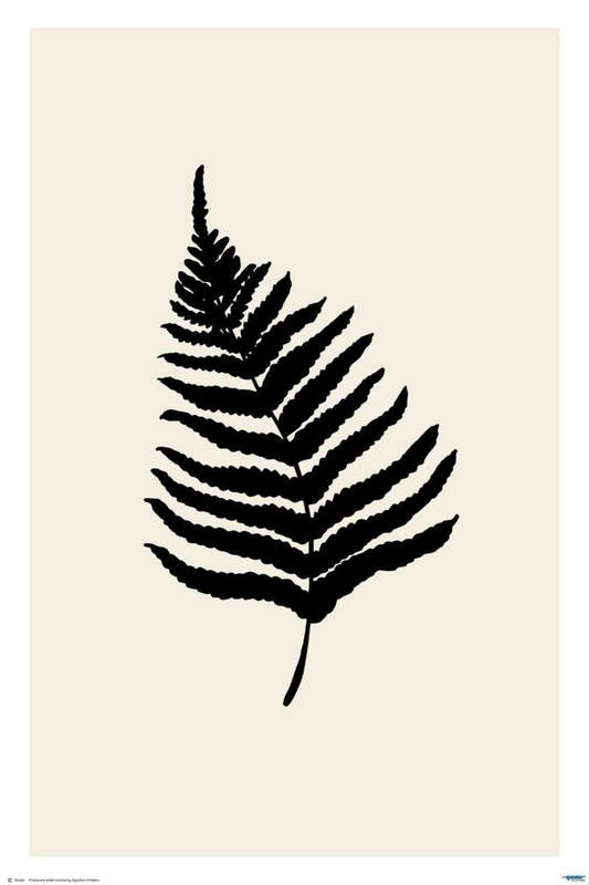 Fern by Studio - Art Poster