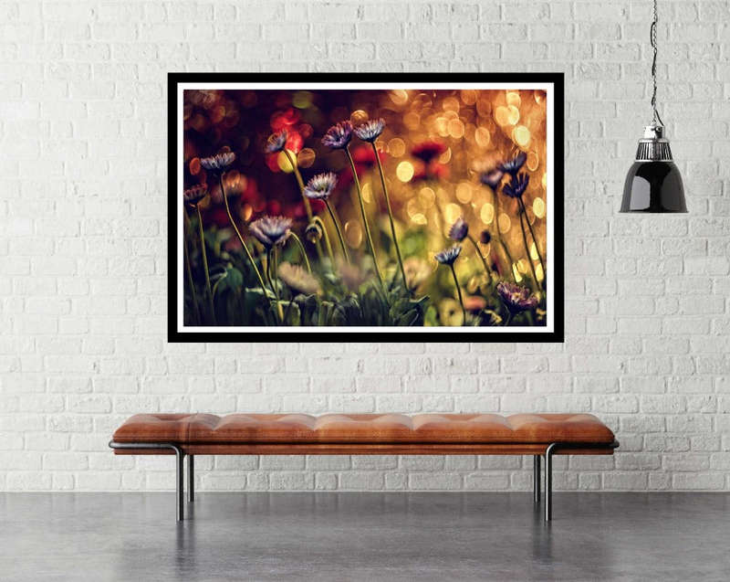 Field of flowers by Dimitar Lazaron - Nature Photography poster