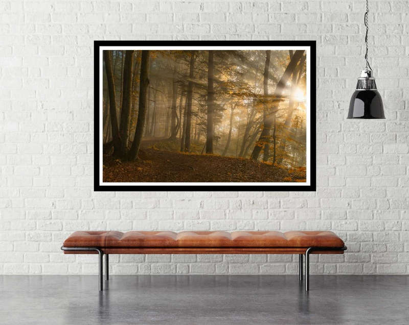 Forest Light by Norbert Maier - Art poster - Photography poster