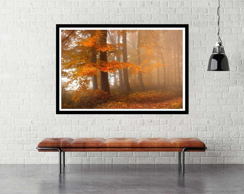 Edge of the Woods by Nicolas Schumacher - Nature Photography poster