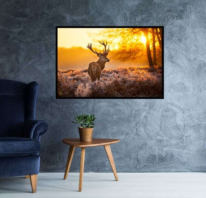 Golden Stag Poster