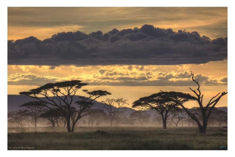 Good evening Tanazania by Amnon Eichelberg - Travel Poster