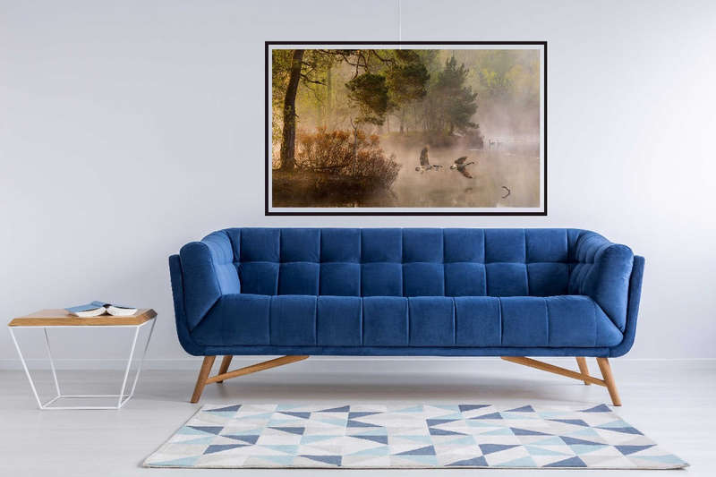 Goose flight by Anton van Dongen - Nature Photography poster