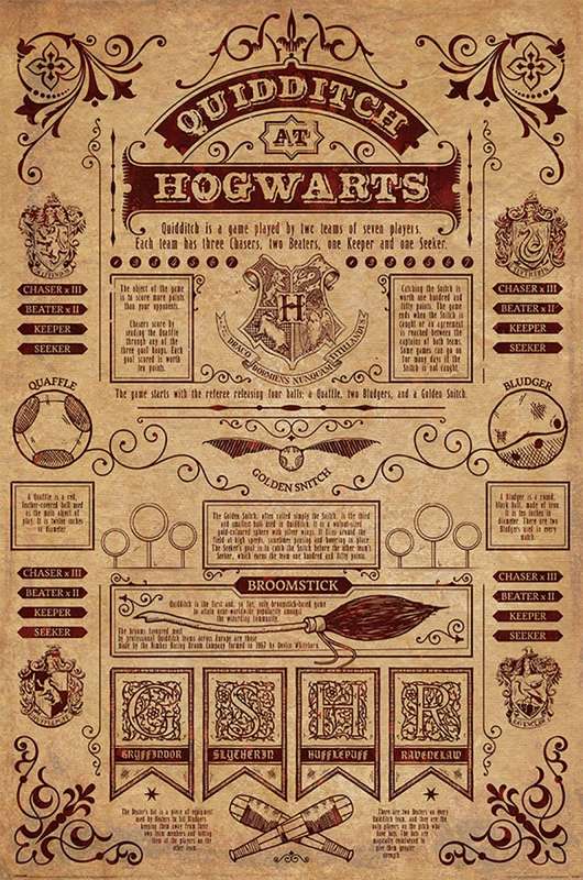 Harry Potter - Quidditch at Hogwards Poster