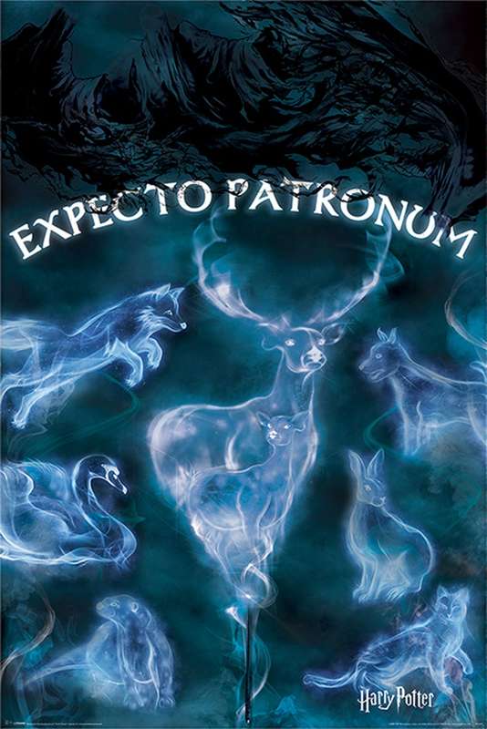 Harry Potter: Expecto Patronum Poster