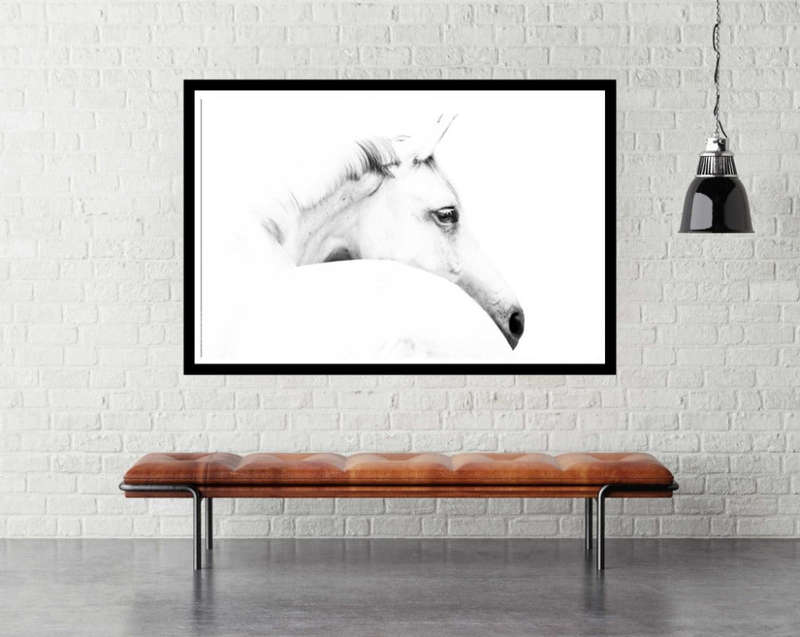 Horse and Minimalism by Ulrike Leinemann - Animal Horse Photography Poster