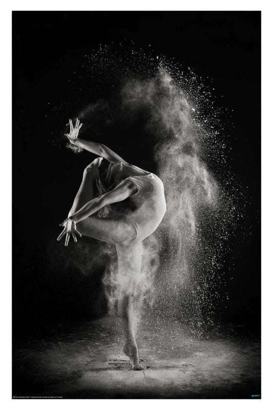 In the Light by Shades and Light - Photography Poster